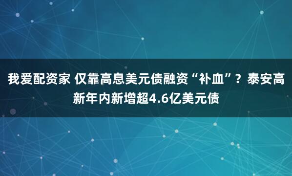 我爱配资家 仅靠高息美元债融资“补血”？泰安高新年内新增超4.6亿美元债