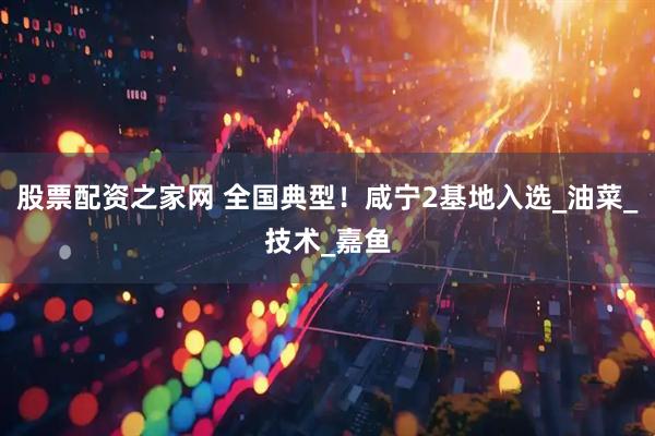 股票配资之家网 全国典型！咸宁2基地入选_油菜_技术_嘉鱼